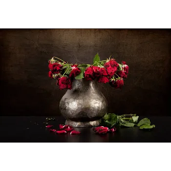 Natural Dry Rose 